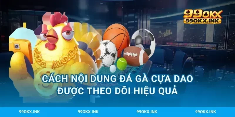 Cách nội dung đá gà cựa dao được theo dõi hiệu quả